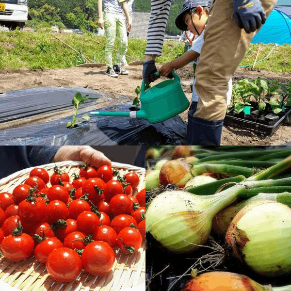 筒賀ふれあい農園